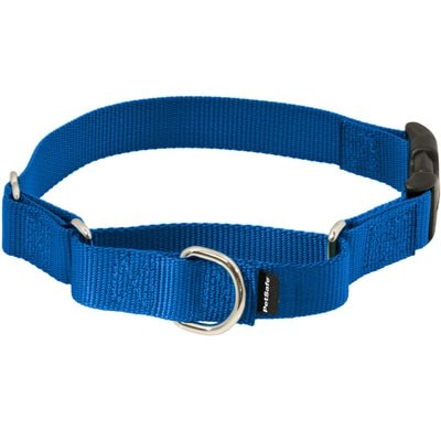 PetSafe PetSafe Premier Quick Snap Royal Blue Small Pet Collar, 3/4-in width