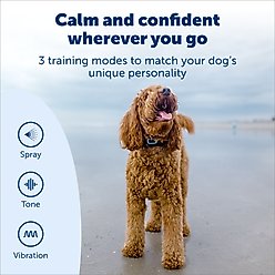 PetSafe Rechargable Remote Spray Dog Training Collar with Disposable Spray Cartridges slide 2 of 9