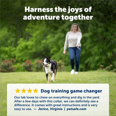 Show full view: PetSafe Rechargable Remote Spray Dog Training Collar with Disposable Spray Cartridges slide 4 of 10