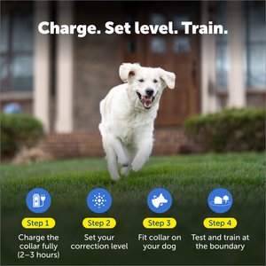 PetSafe Rechargeable In-Ground Fence Receiver Collar with Charger