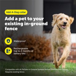 PetSafe Rechargeable In-Ground Fence Receiver Collar with Charger slide 2 of 7