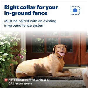 PetSafe Rechargeable In-Ground Fence Receiver Collar with Charger
