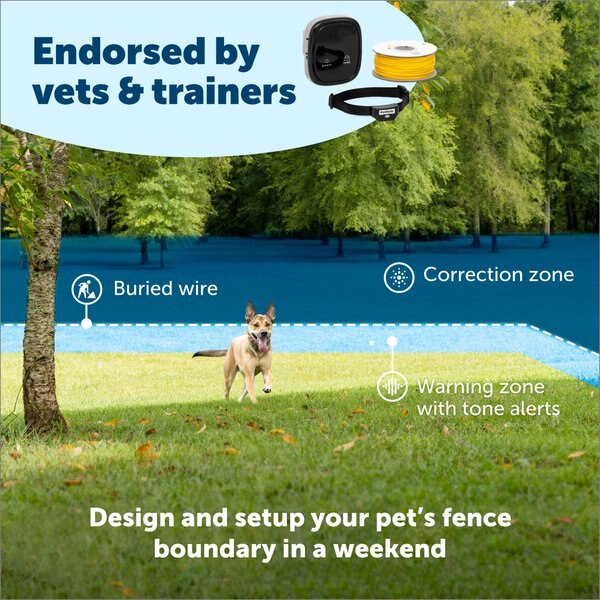 PetSafe Classic In-Ground Fence Rechargeable Receiver Dog & Cat Collar