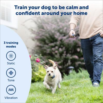 Show full view: PetSafe Remote Trainer Dog Collar, 100-yd, Lite slide 2 of 14