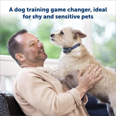 Show full view: PetSafe Remote Trainer Dog Collar, 100-yd, Lite slide 5 of 14