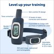 Show in main carousel: PetSafe Remote Trainer Dog Collar, 300-yd, Lite slide 3 of 13