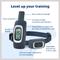 Show in main carousel: PetSafe Remote Trainer Dog Collar, 300-yd, Lite slide 4 of 14