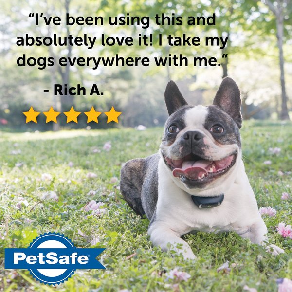 Show full view: PetSafe Remote Trainer Dog Collar, 300-yd, Lite slide 7 of 13