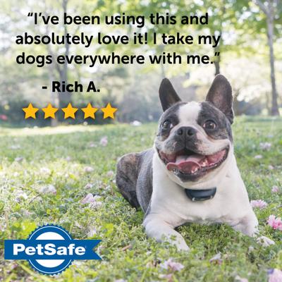 Show full view: PetSafe Remote Trainer Dog Collar, 300-yd, Lite slide 8 of 14