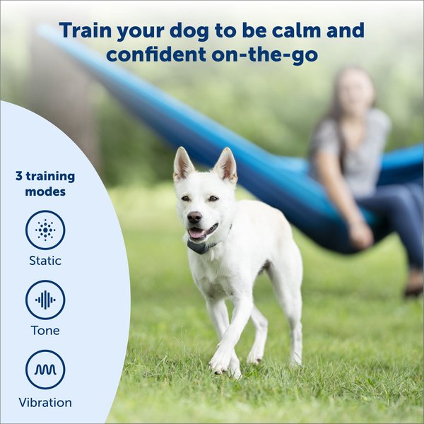 Show full view: PetSafe Remote Trainer Dog Collar, 300-yd, Standard slide 2 of 13