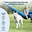 Show in main carousel: PetSafe Remote Trainer Dog Collar, 300-yd, Standard slide 2 of 13