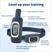 Show in main carousel: PetSafe Remote Trainer Dog Collar, 300-yd, Standard slide 3 of 13