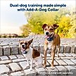 Show in main carousel: PetSafe Remote Trainer Dog Collar, 300-yd, Standard slide 5 of 13