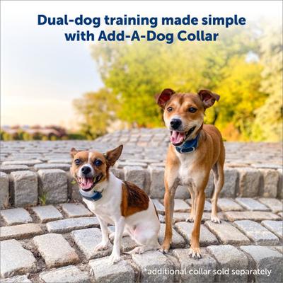 Show full view: PetSafe Remote Trainer Dog Collar, 300-yd, Standard slide 5 of 13