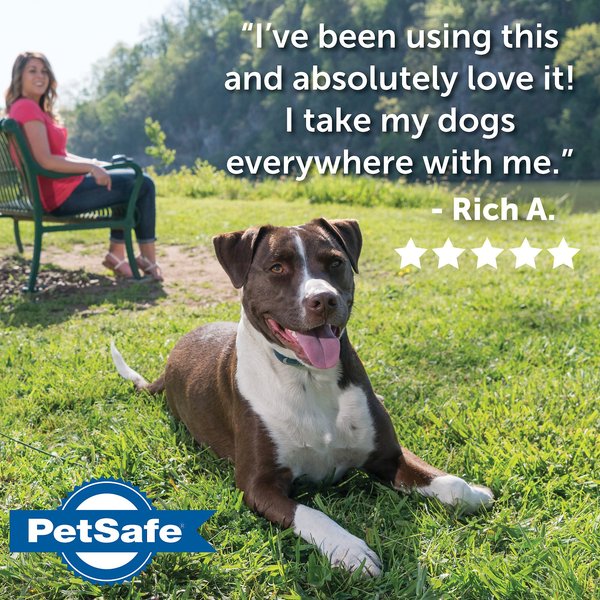 Show full view: PetSafe Remote Trainer Dog Collar, 300-yd, Standard slide 7 of 13