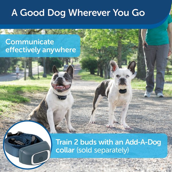 Show full view: PetSafe Remote Trainer Dog Collar, 600-yd, Lite slide 2 of 13