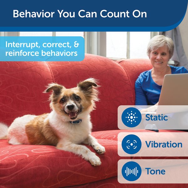 Show full view: PetSafe Remote Trainer Dog Collar, 600-yd, Lite slide 3 of 13
