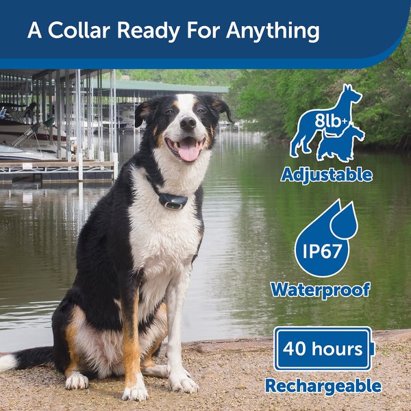 Show full view: PetSafe Remote Trainer Dog Collar, 600-yd, Lite slide 5 of 13