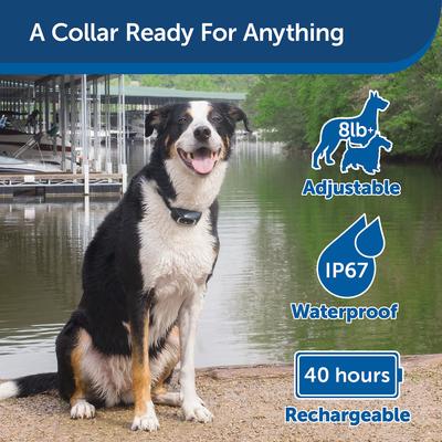 Show full view: PetSafe Remote Trainer Dog Collar, 600-yd, Lite slide 6 of 14