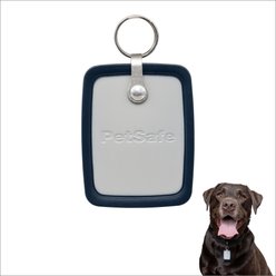 PetSafe RFID Smart Key for Dog Door, Gray, Large