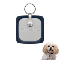 PetSafe RFID Smart Key for Dog Door, Gray, Medium