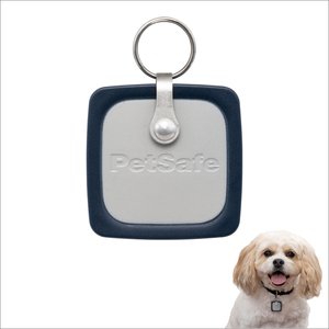 PetSafe RFID Smart Key for Dog Door, Gray, Medium