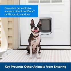 PetSafe RFID Smart Key for Dog Door, Gray, Medium slide 2 of 6