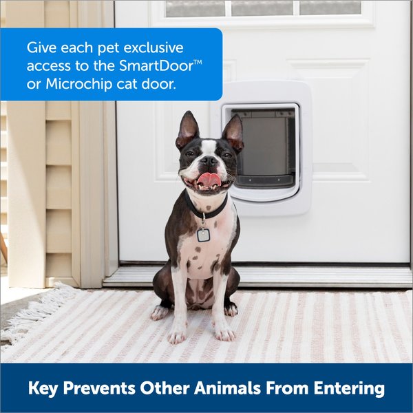 PETSAFE RFID Smart Key for Dog Door, Gray, Medium - Chewy.com