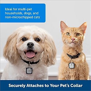 PetSafe RFID Smart Key for Dog Door, Gray, Medium