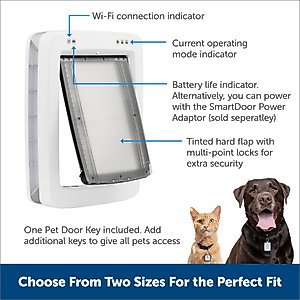 PetSafe RFID Smart Key for Dog Door, Gray, Medium