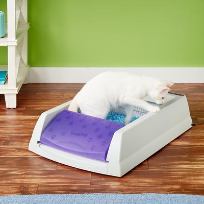 Show full view: PetSafe ScoopFree Complete Disposable Crystal Cat Litter Tray, 3-Pack, Blue slide 8 of 10