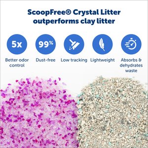 PetSafe ScoopFree Complete Disposable Crystal Cat Litter Trays, 3-Pack, Lavender