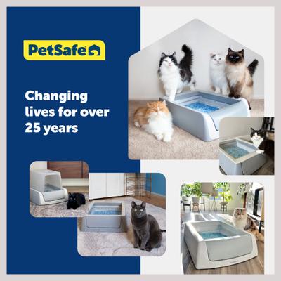 Show full view: PetSafe ScoopFree Crystal Cat Litter Box Tray Refill with Fragrance-Free Crystals, 6 count slide 7 of 9