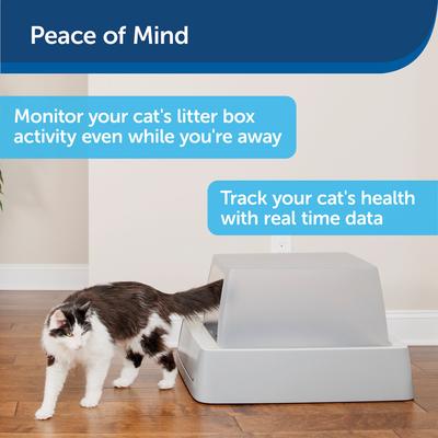 Show full view: PetSafe ScoopFree Crystal Smart Self-Cleaning Cat Litter Box, Front Entry slide 9 of 11