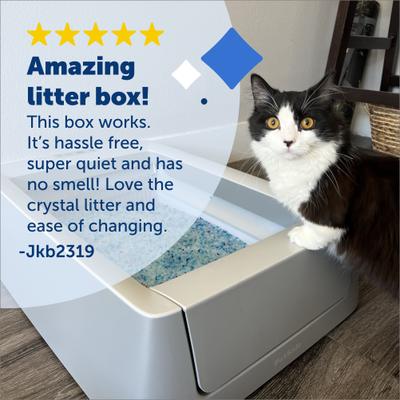 Show full view: PetSafe ScoopFree Crystal Smart Self-Cleaning Cat Litter Box slide 6 of 11