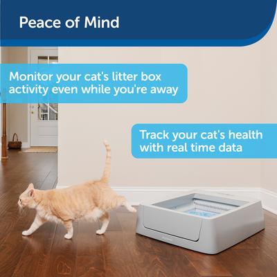 Show full view: PetSafe ScoopFree Crystal Smart Self-Cleaning Cat Litter Box slide 9 of 11