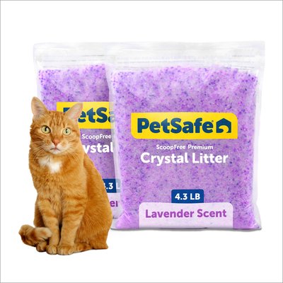 PetSafe PetSafe ScoopFree Premium Crystal Lavender Scented Cat Litter 2-Pack