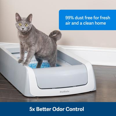 Show full view: PetSafe ScoopFree Premium Scented Cat Litter, 2 pack + Reusable Cat Litter Tray slide 4 of 10