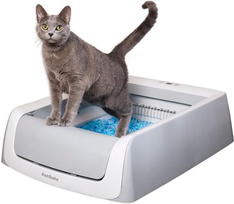 Show full view: PetSafe ScoopFree Premium Unscented Litter + Original Automatic Cat Litter Box slide 6 of 9