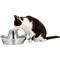 Show in main carousel: PetSafe Seaside Stainless Steel Cat Water Fountain, 60-oz slide 1 of 12
