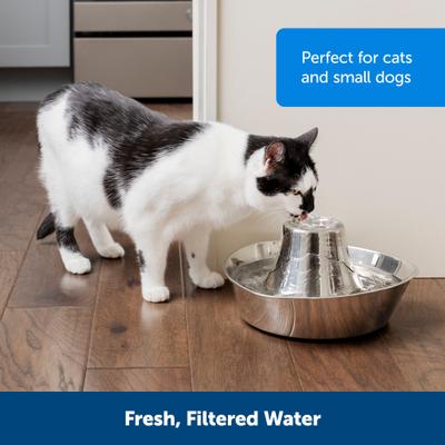 Show full view: PetSafe Seaside Stainless Steel Cat Water Fountain, 60-oz slide 7 of 12