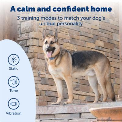 Show full view: PetSafe Smart Dog Training Collar slide 2 of 11