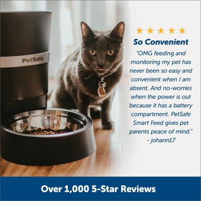 Show full view: PetSafe Smart Feed 2.0 Wifi-Enabled Automatic Dog & Cat Feeder, Blue slide 4 of 8