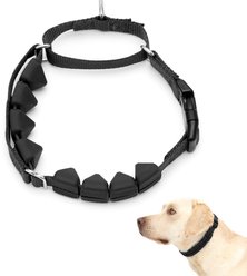 PetSafe Soft Point Martingale Dog Training Collar, Black, Large