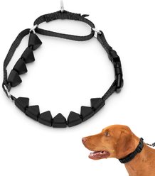 PetSafe Soft Point Martingale Dog Training Collar, Black, Medium