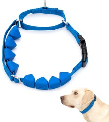 PetSafe Soft Point Martingale Dog Training Collar, Royal Blue, Large