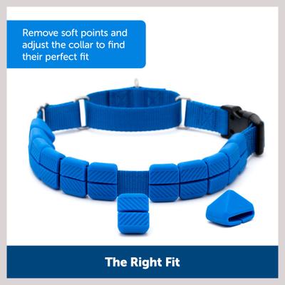 Show full view: PetSafe Soft Point Martingale Dog Training Collar, Royal Blue, Large slide 3 of 8