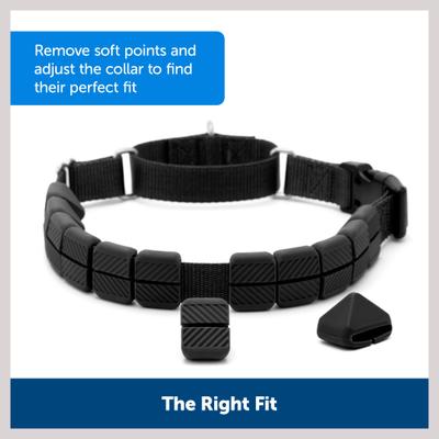 Show full view: PetSafe Soft Point Replacement Dog ID Accessory, Black, 4 count, Medium slide 3 of 8