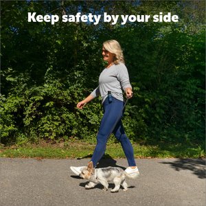 PetSafe Spray Shield Animal Deterrent Spray