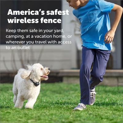 Show full view: PetSafe Stay & Play Wireless Fence with Replaceable Battery Collar slide 5 of 7